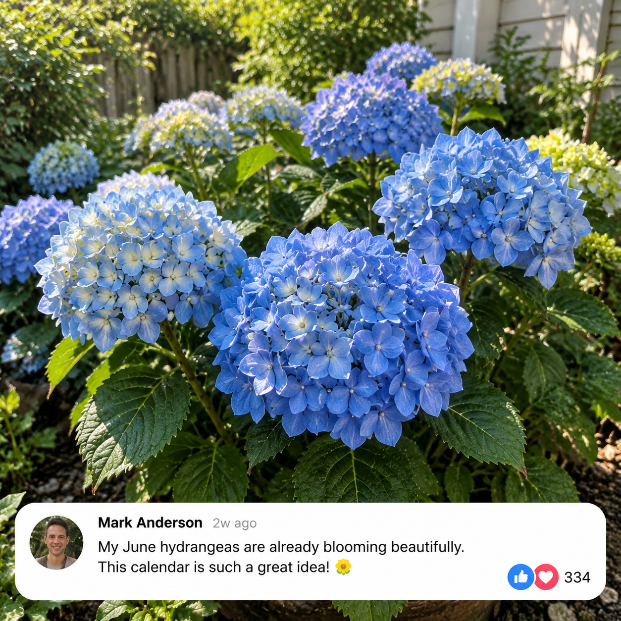Mark Anderson — seed calendar customer photo