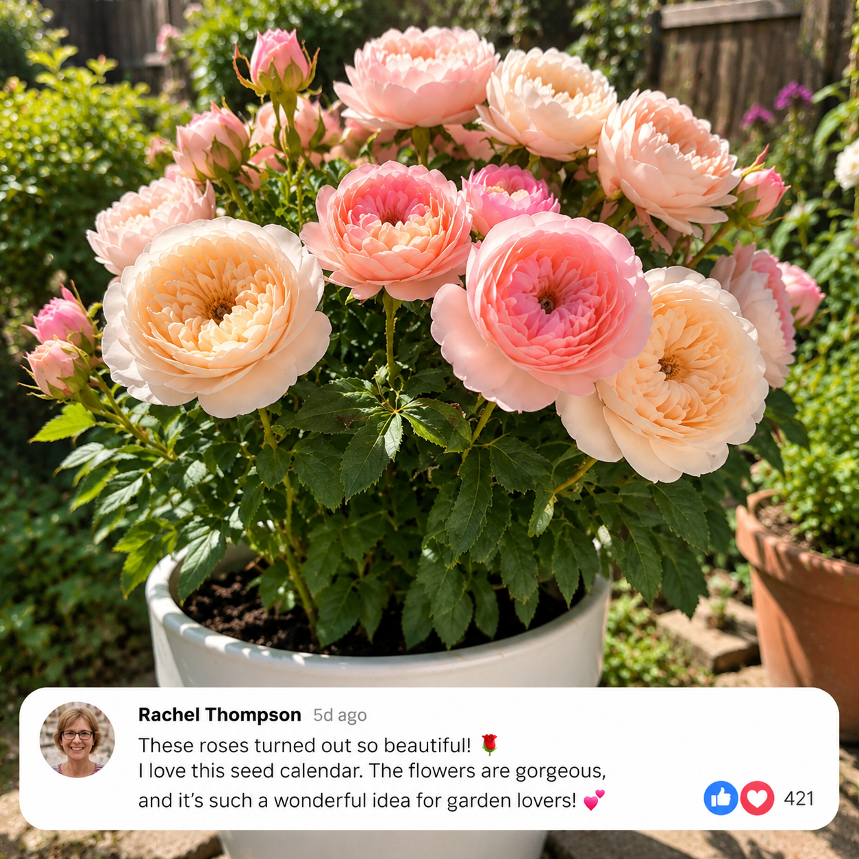 Rachel Thompson — seed calendar customer photo